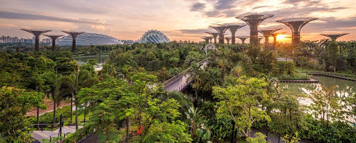 A Paradigm of Sustainability: An Introduction to Singapore as a Sustainable City